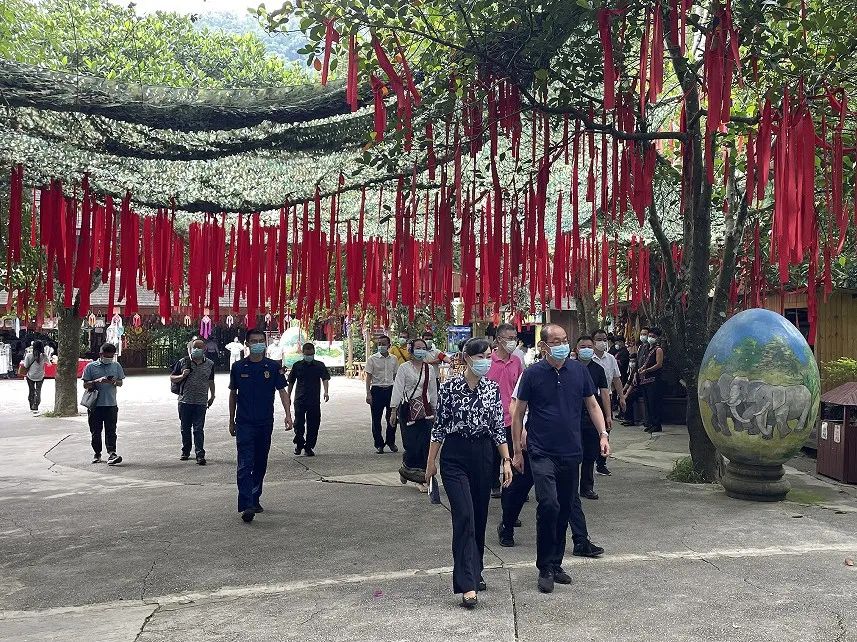 【安全環(huán)?！吭颇鲜“参瘯谑讲榻M到原始森林公園檢查指導(dǎo)-1.jpg